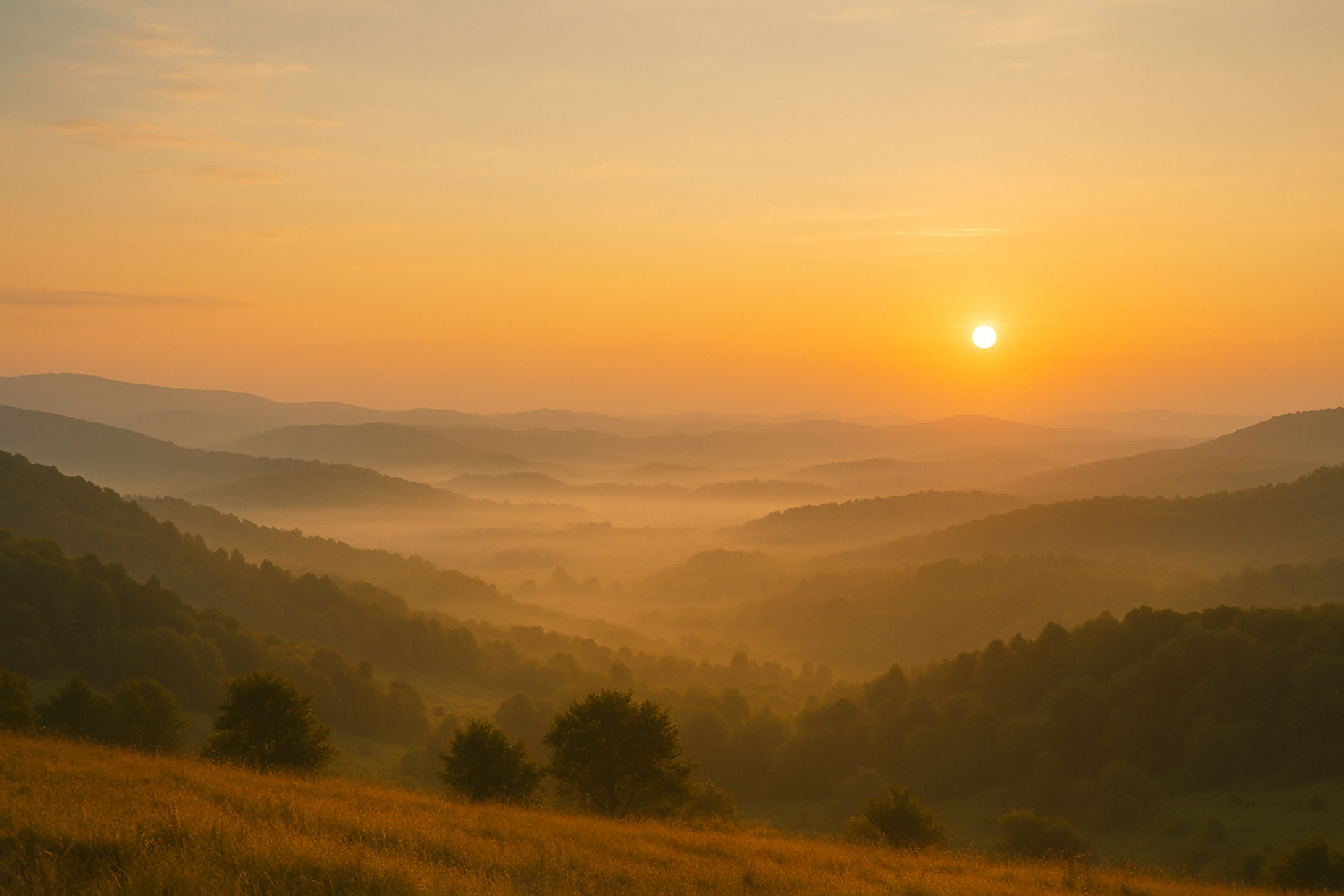 Building a Daily Spiritual Rhythm by Memorizing Short Surahs