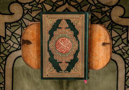 Fluent Recitation Doesn’t Mean Deep Understanding: Beyond Memorization